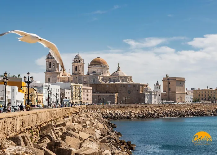 Diana De Columela By Cadiz Time